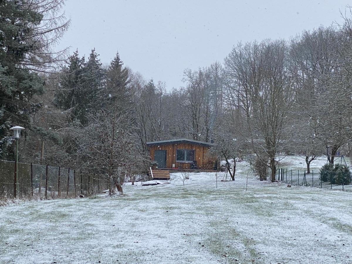 Ferienhaus II Zittertal Neustadt Harz Mit Grossem Garten, Kamin Und Fussbodenheizung Osterode  Exterior foto